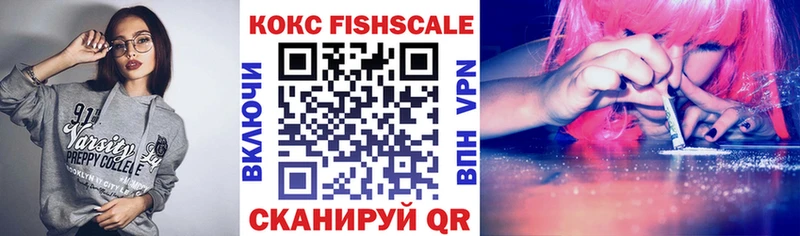 Cocaine Fish Scale  Купить закладки  Ленинск-Кузнецкий 