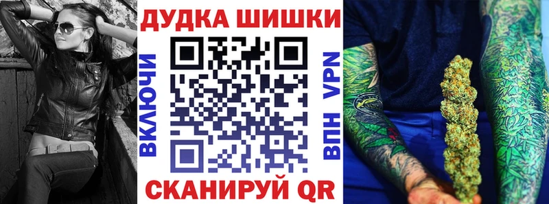 Купить закладки  Ленинск-Кузнецкий  Бошки марихуана сатива 